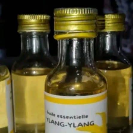 Huile essentielle ylang-ylang pur à 100 %